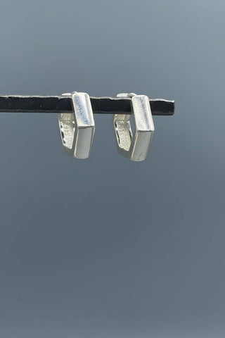 Horseshoe Hoops