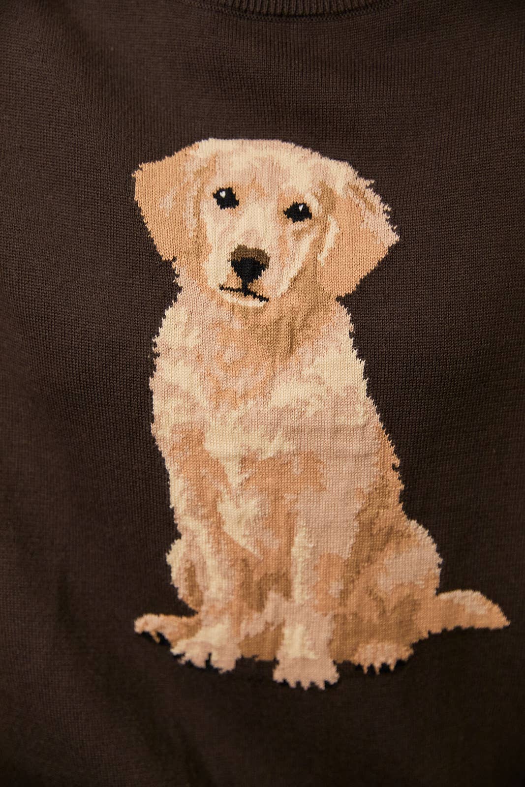 Golden Retriever Patterned Sweater