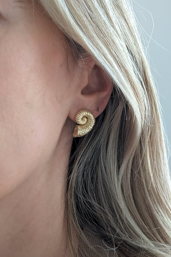 Gold Filled Chunky Seashell Earrings