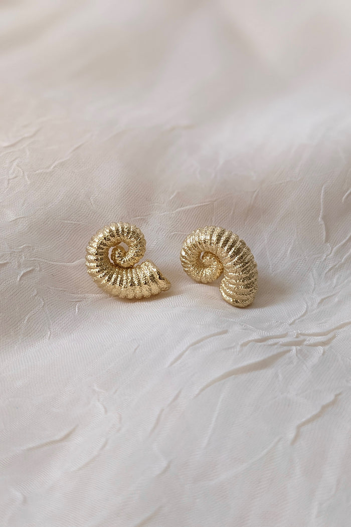 Gold Filled Chunky Seashell Earrings