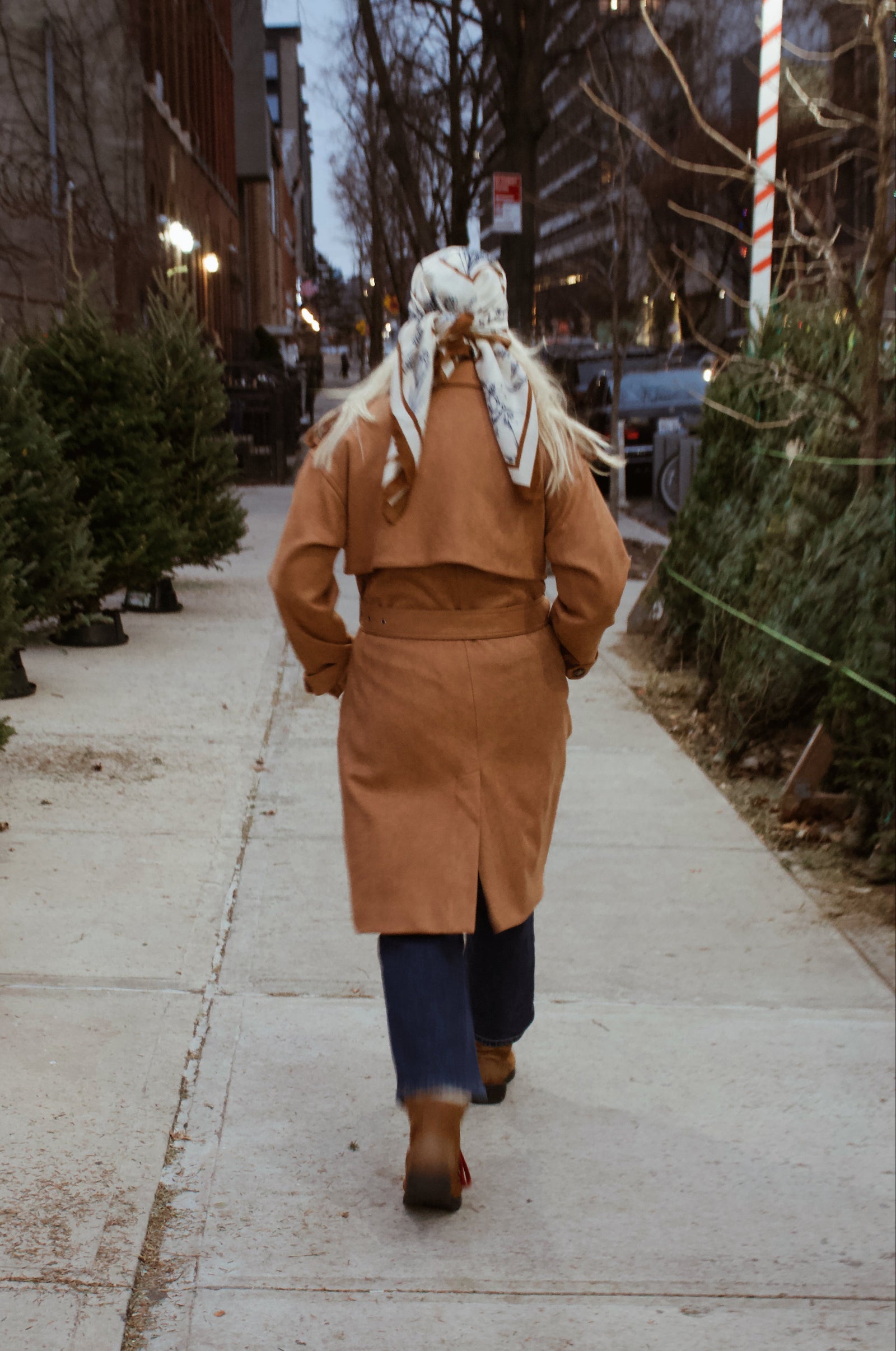 Person walking on a sidewalk with Christmas trees on either side
