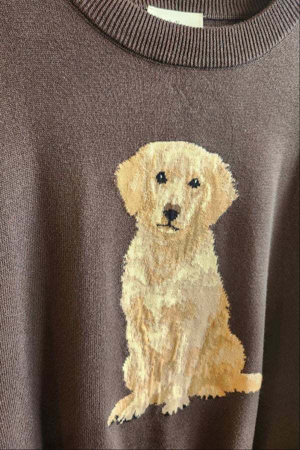 A close-up of a brown knit sweater featuring a large, textured golden retriever dog graphic on the front, shown hanging on a wooden hanger.