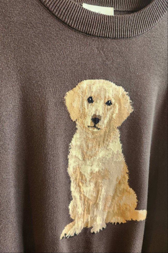 A close-up of a brown knit sweater featuring a large, textured golden retriever dog graphic on the front, shown hanging on a wooden hanger.