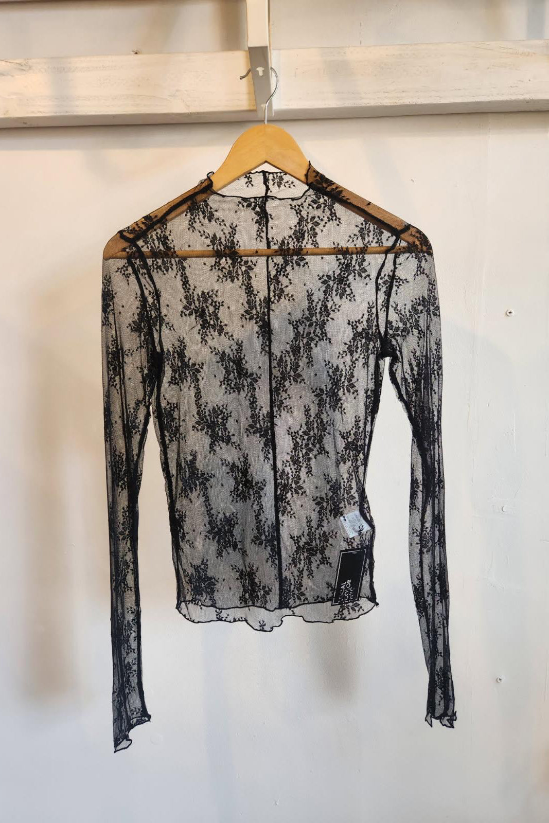 Sheer Lace Long Sleeve Top