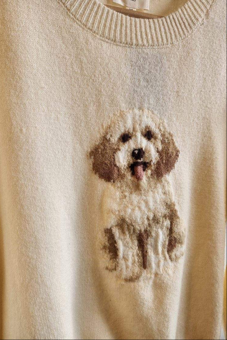 Cockapoo Patterned Sweater